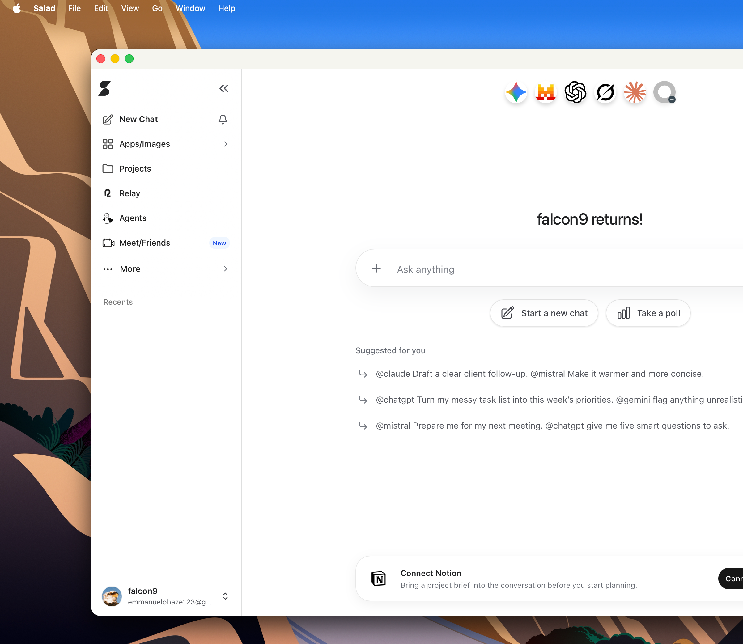 Salad screenshot 1